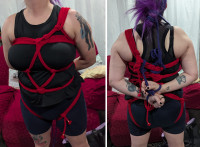 BK_20250718_ModifiedKiteHarness-TheFrankenkite.jpg