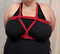 BK_20260717_2000_BasicChestHarness-Rope101.jpg